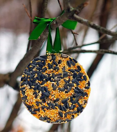 birdseed craft