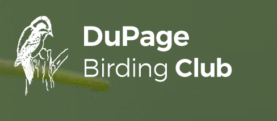 Dupage Birding Club logo with name and image of a bird